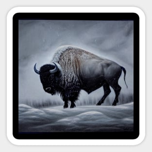 Bison in Snowstorm Sticker